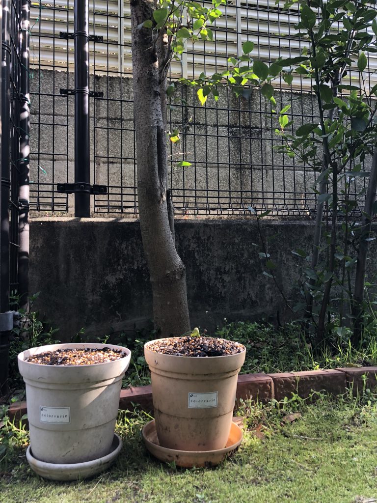 自然界が教えてくれること