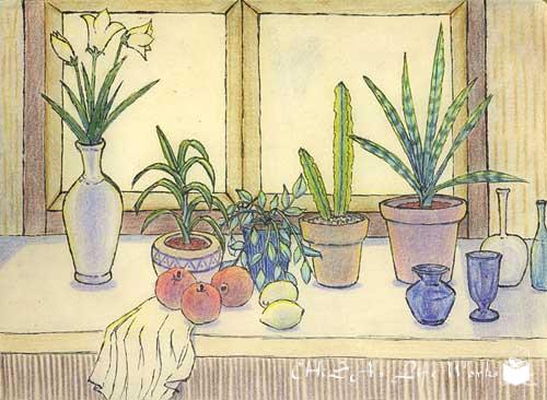 Plants by the window